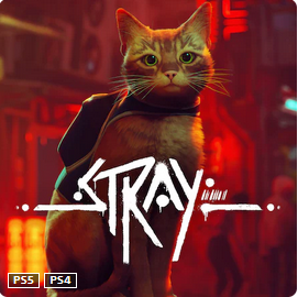 Stray